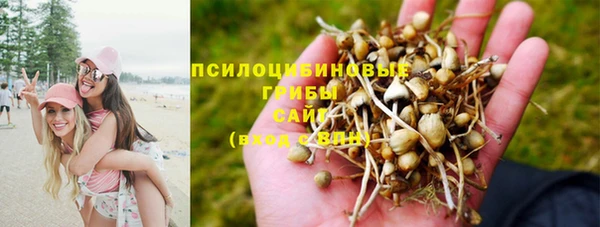 таблы Заволжск